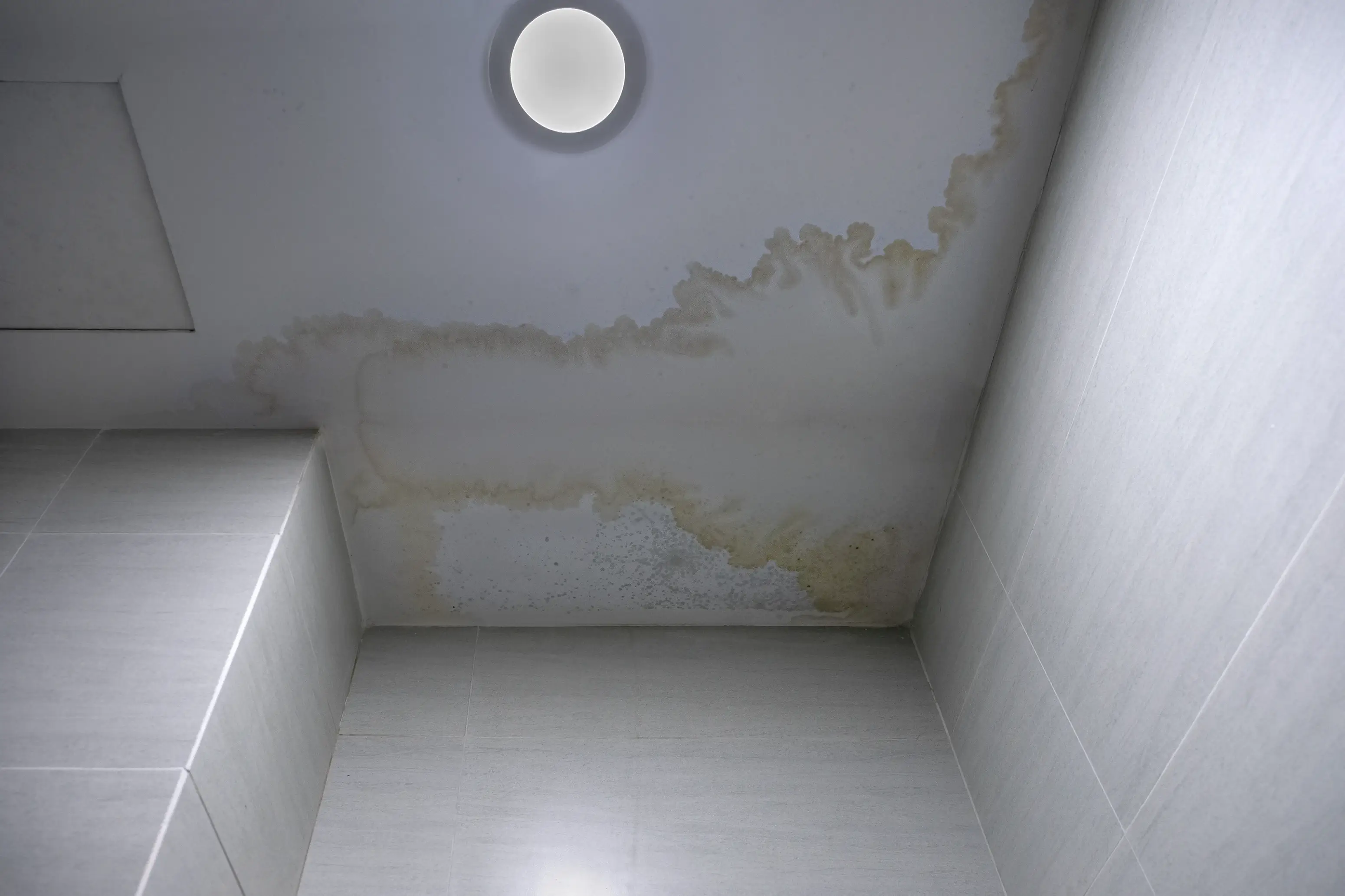 Water leak damage and mildew stains on ceiling requiring detection